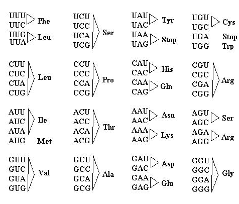 STAR WARS explains the microbiology and organic chemistry military ...